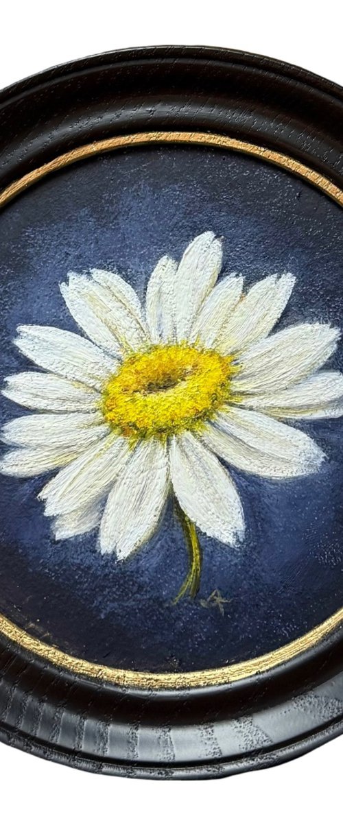 Portrait of a daisy by Daiva Karaliute