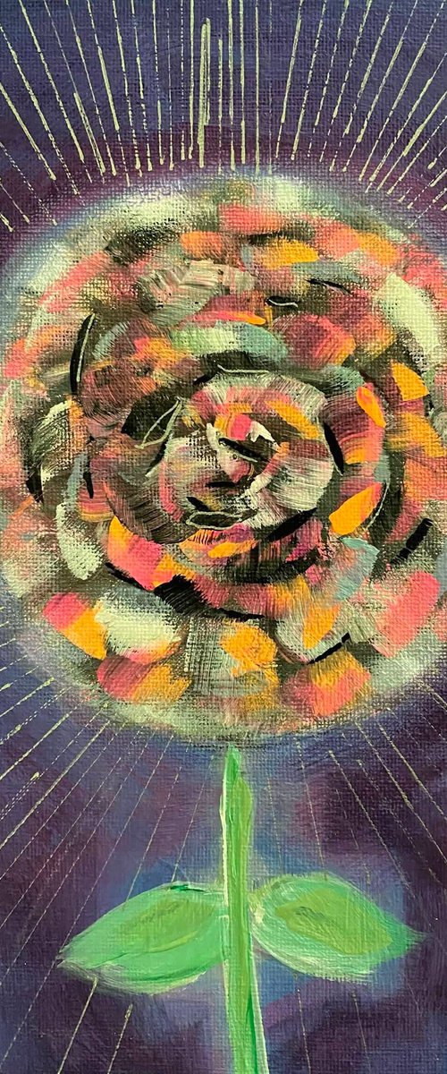 Radiate your Shine by Samah Kthar