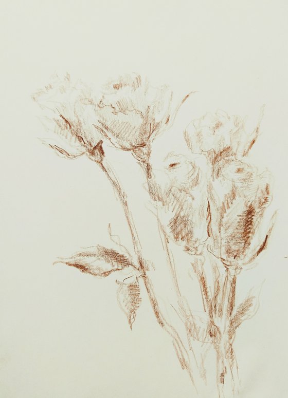 Roses #4. Original pencil drawing