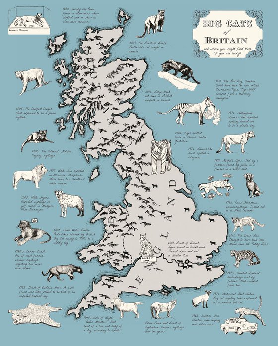 Big Cats of Britain