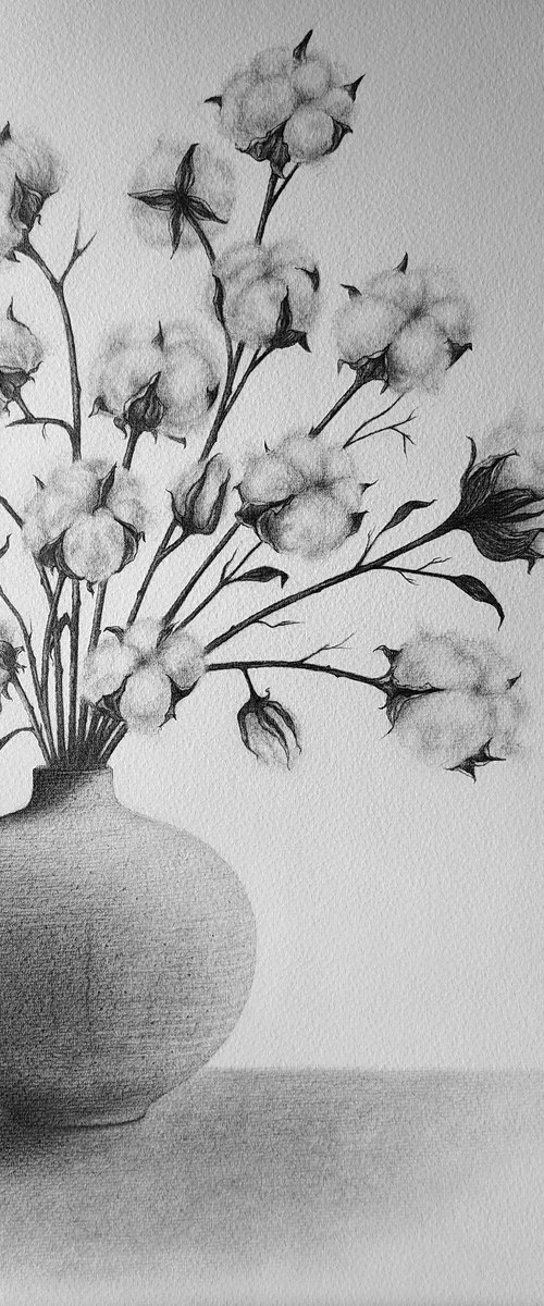 Cotton by DIANA ARTY