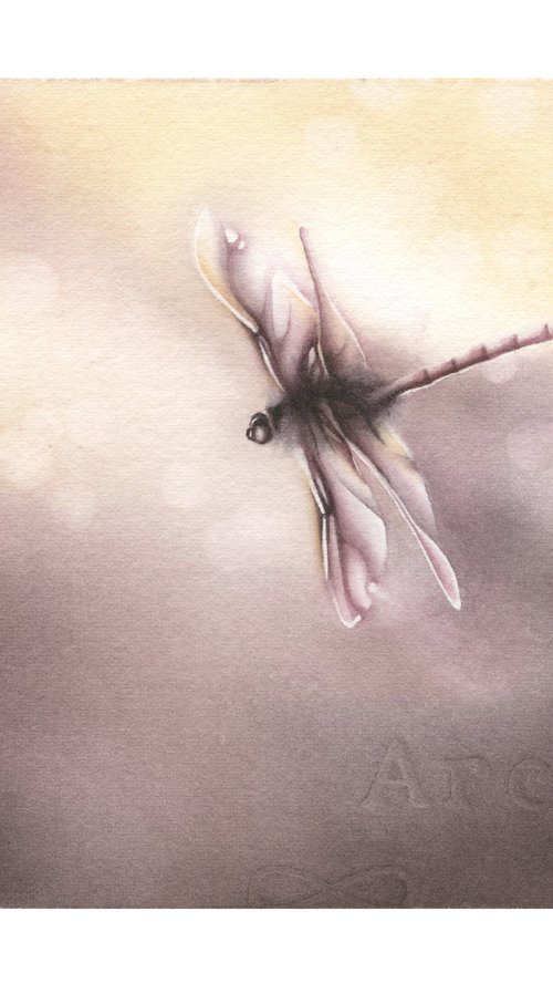 Glimpse XI - Sunset Dragonfly Watercolor Painting by ieva Janu