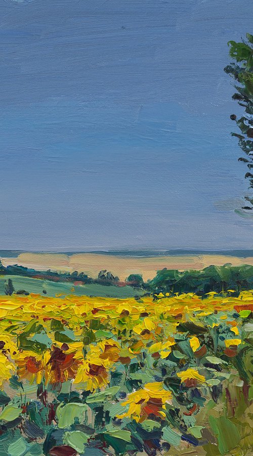 Sunflower Field by Daria Zavadenko
