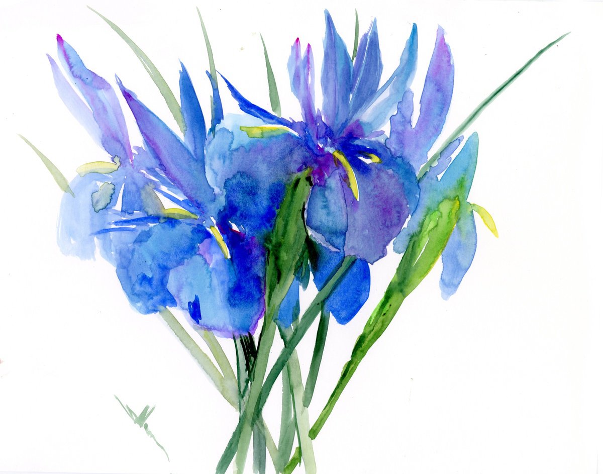 Blue Dutch Iris Flowers by Suren Nersisyan