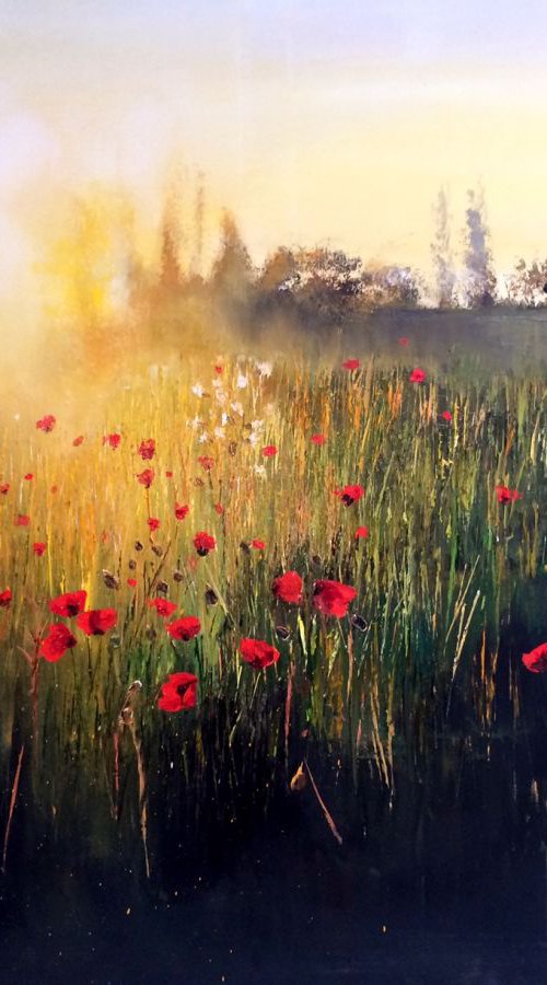 The Afterglow by Kimberley  Harris