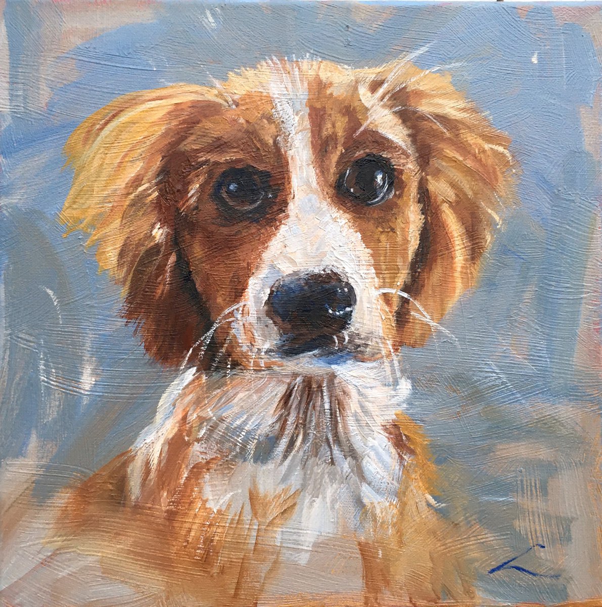 Impressionistic Animal Oil Painting By Elena Sokolova, 14 X 14, Doggy, Original Artwork