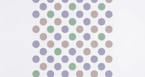 Artwork by Bridget Riley