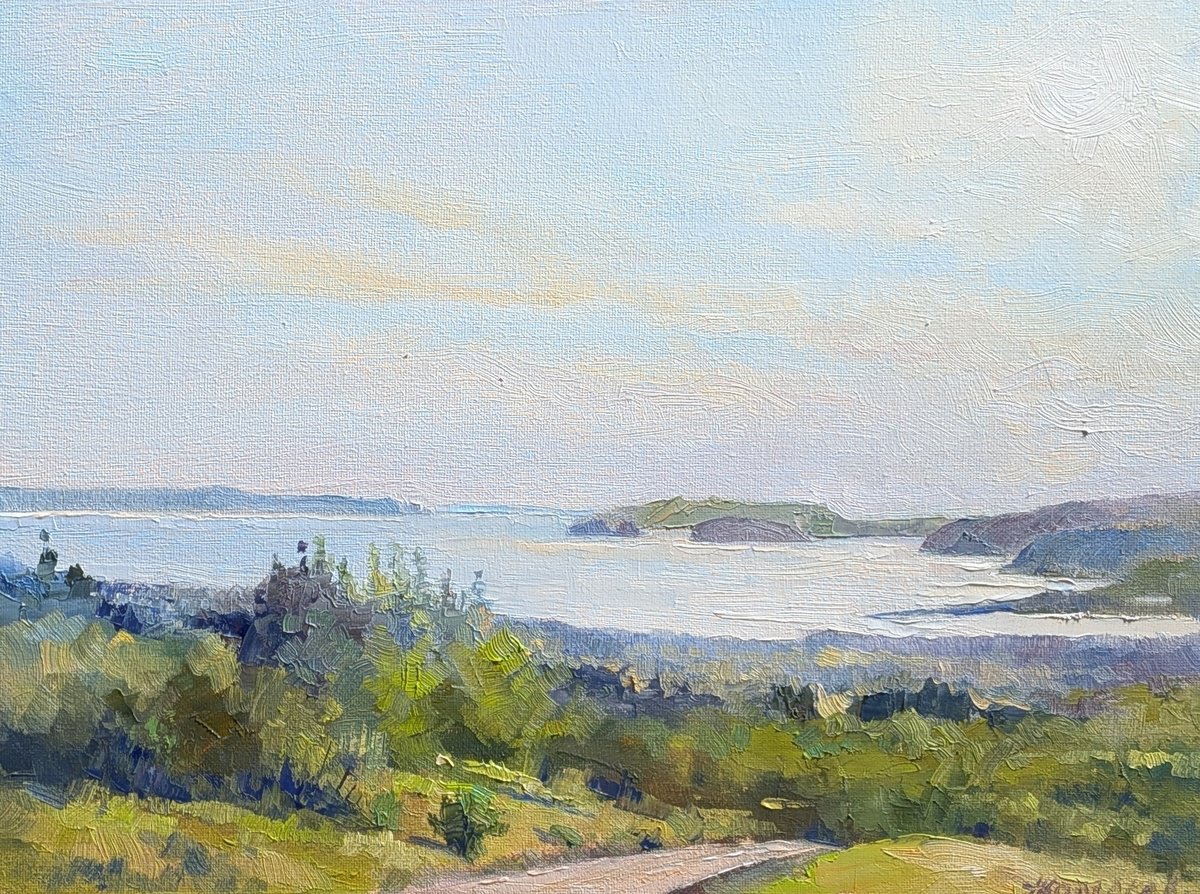 Impressionistic Landscape Oil Painting By Alexander Koltakov, 16 X 12, Shimmering Air 2025, Plein Air, Original Artwork