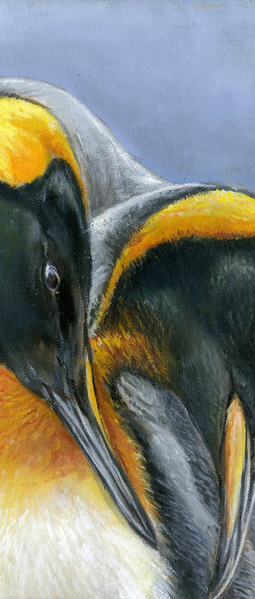 King penguins by Una Hurst