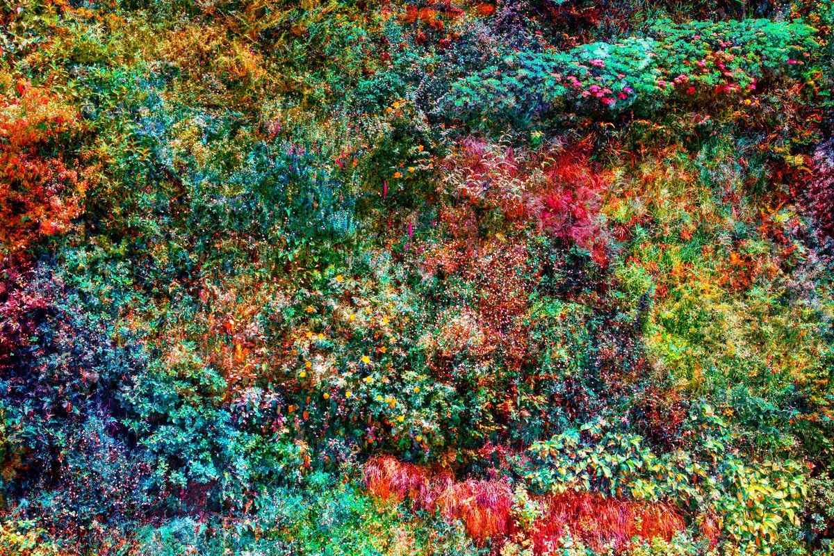 Impressionistic Botanical Photograph By Viet Ha Tran, 24 X 32", Wall Of Nature Xxix (Framed), Original Artwork