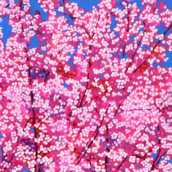 Cherry Blossom #11