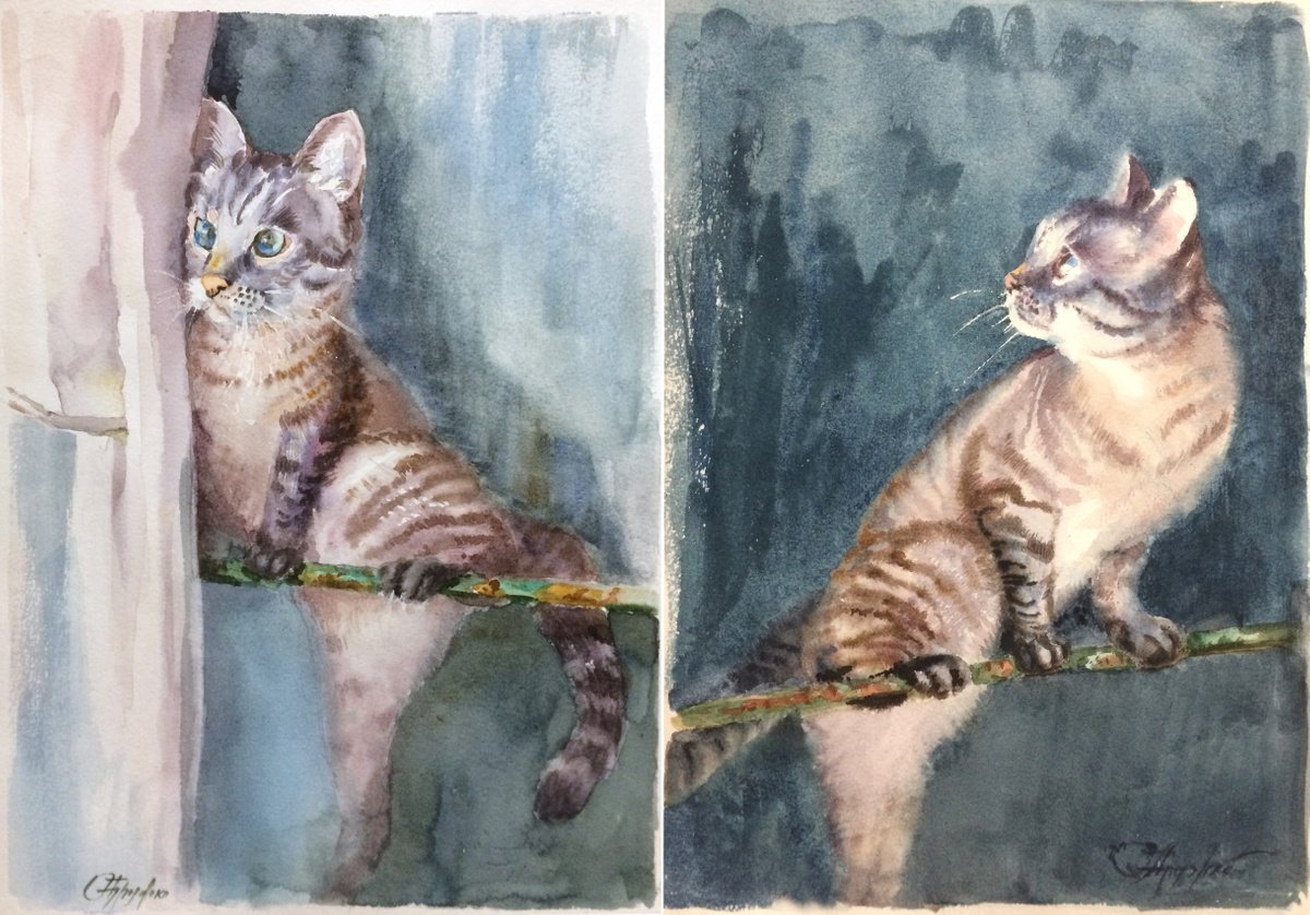 diptych cats 36*26*2 by Svitlana Druzhko