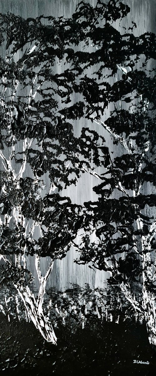 Birch Eclipse 1 by Daniel Urbaník