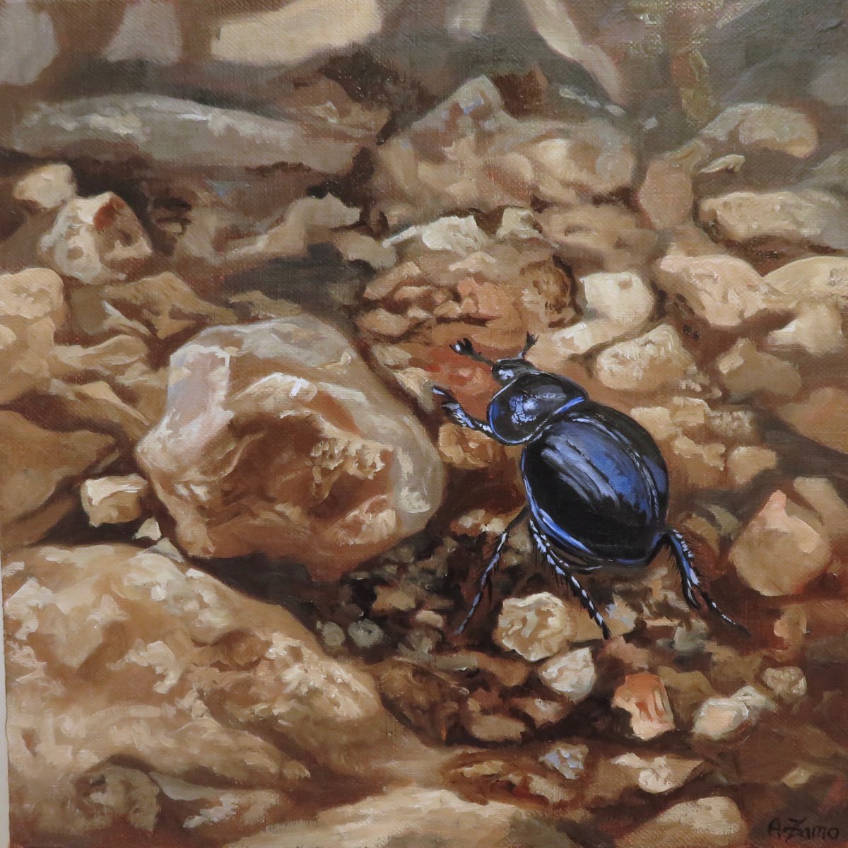 Dung Beetle by Anne Zamo