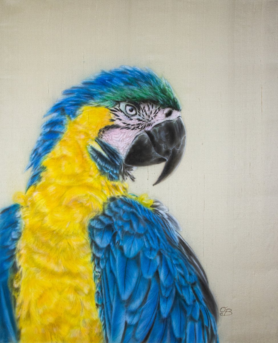 Macau - Silk painting, parrot, birds, realism by Olga Belova