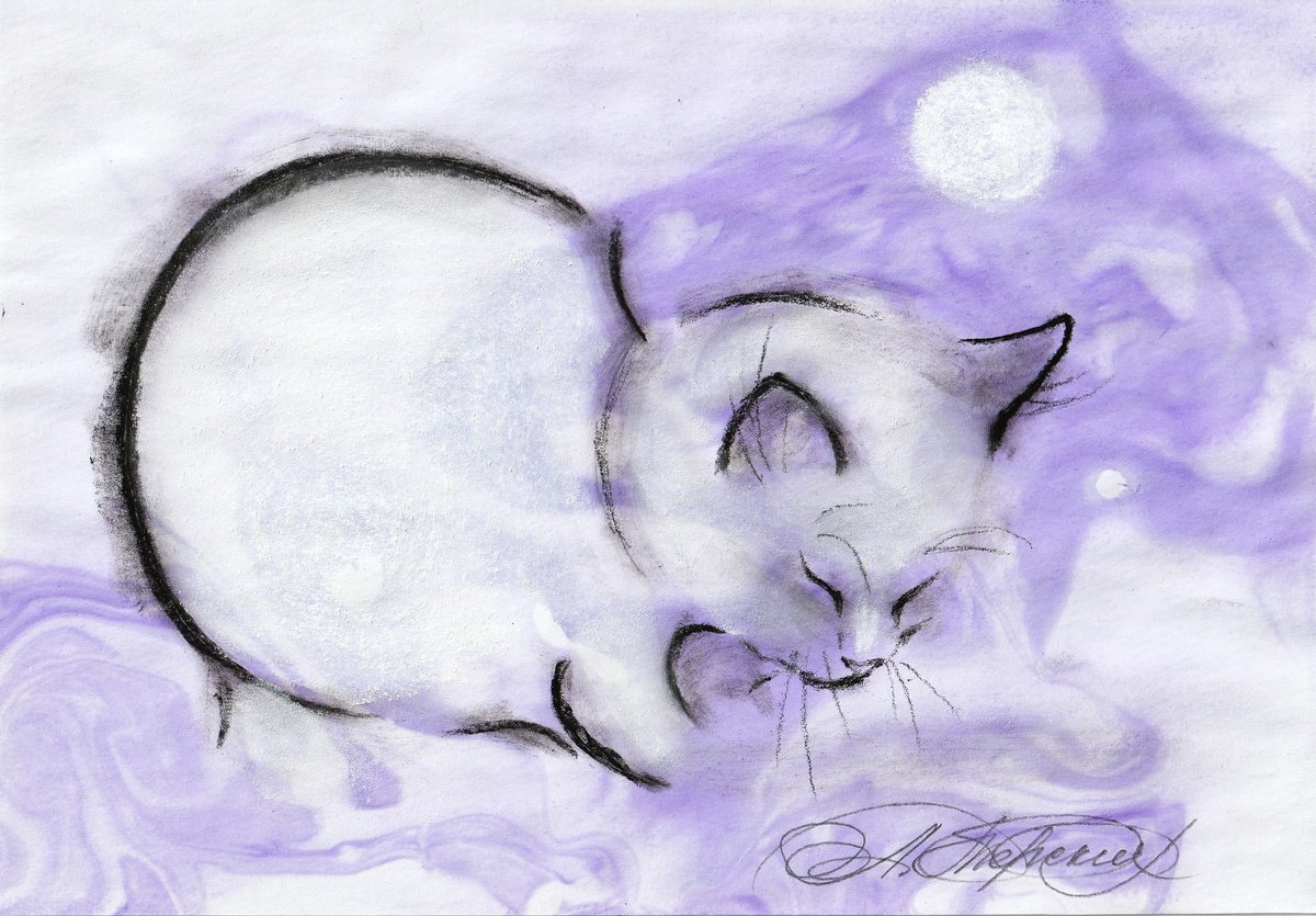 Animal Charcoal Drawing By Anastasia Terskih, 8 X 6, Mooncat, Original Artwork