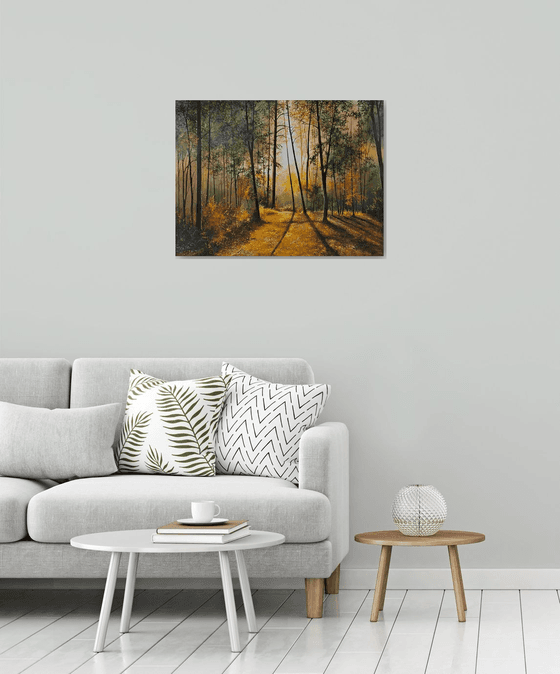 Sunlit Forest Serenity
