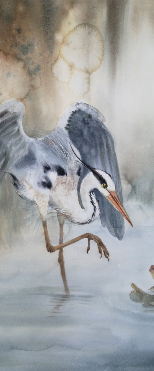 Grey heron & Carp by Olga Beliaeva Watercolour