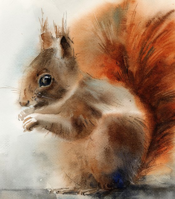 Squirrel