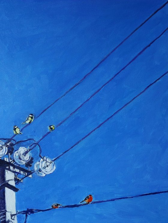 January Birds on Poles