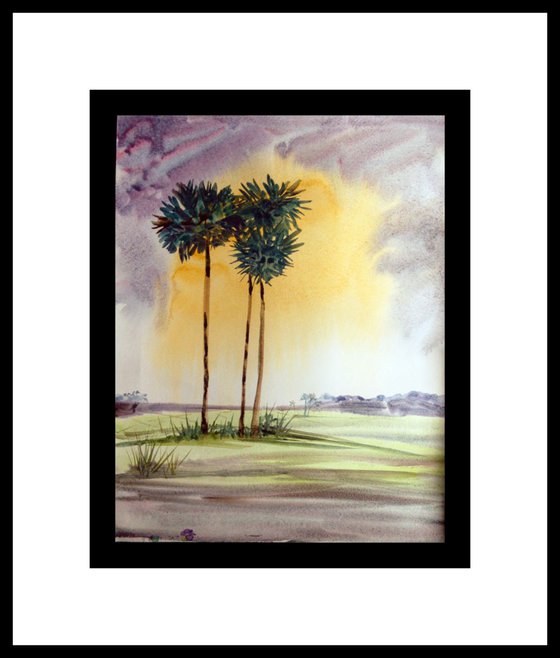 Sunset Palms trees-2