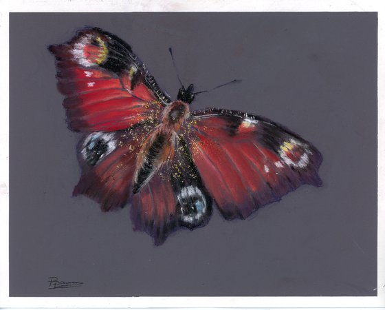 Butterfly (pastel)