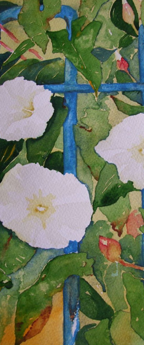 Convulvulus with Blue Railings by David Harmer