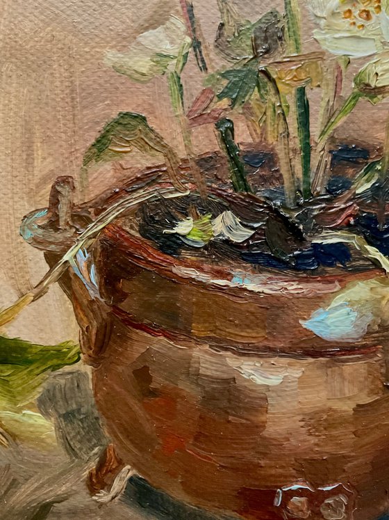 HELLEBORE
