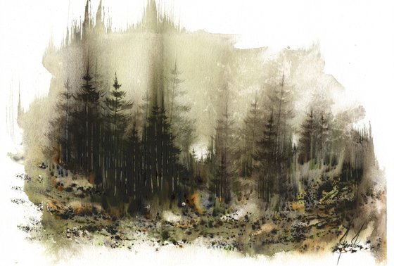 Places XVII - Watercolor Pine Forest