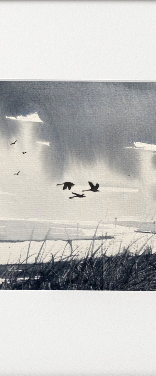 Monochrome Three Swans Marshland by Teresa Tanner
