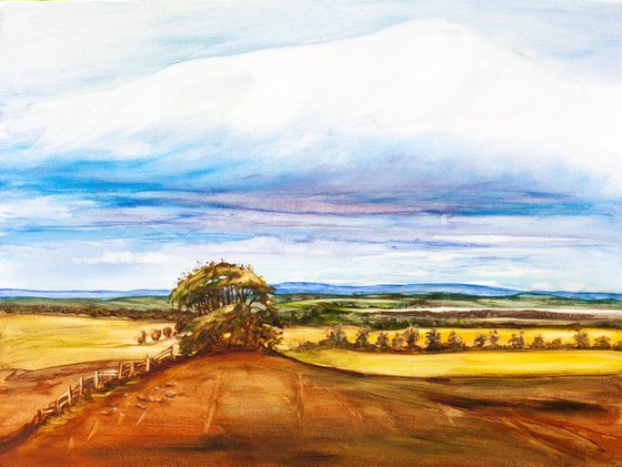 Scottish Countryside View