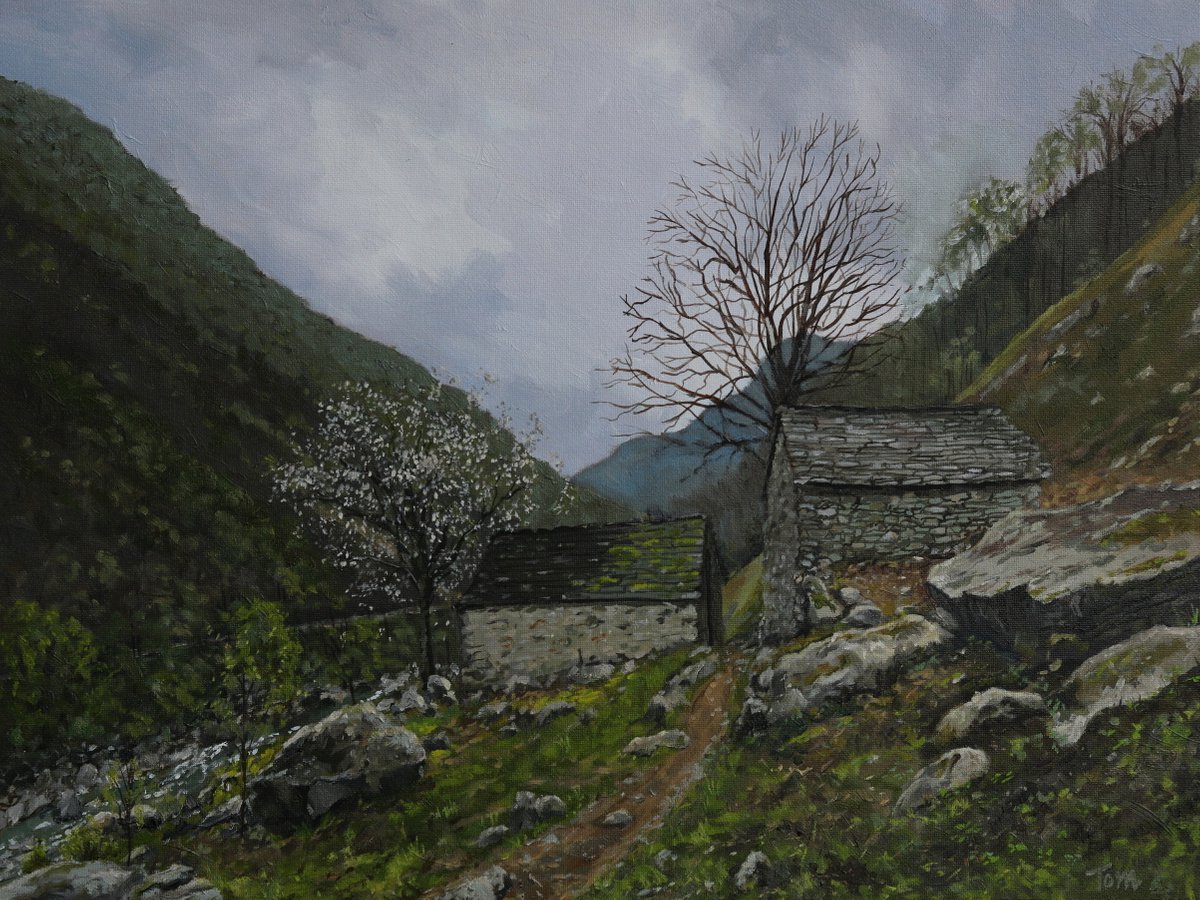 Early spring in the Verzasca valley by Tom Clay