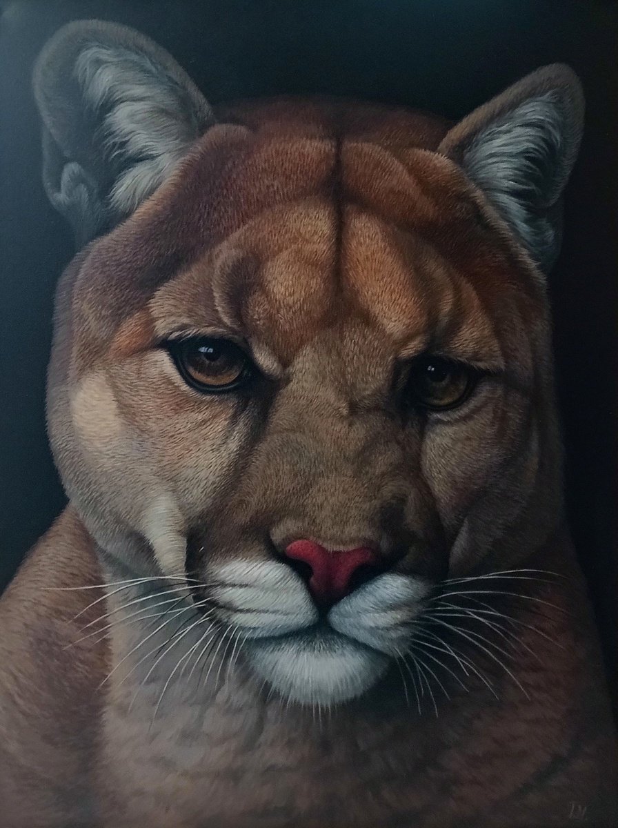 Photorealistic Animal Oil Painting By Tamar Nazaryan, 24 X 31", Wild Elegance, Original Artwork