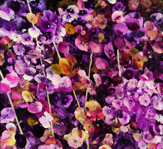 Violet Rhapsody