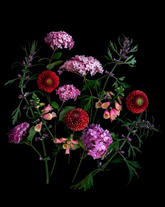 Hydrangeas and Foxgloves