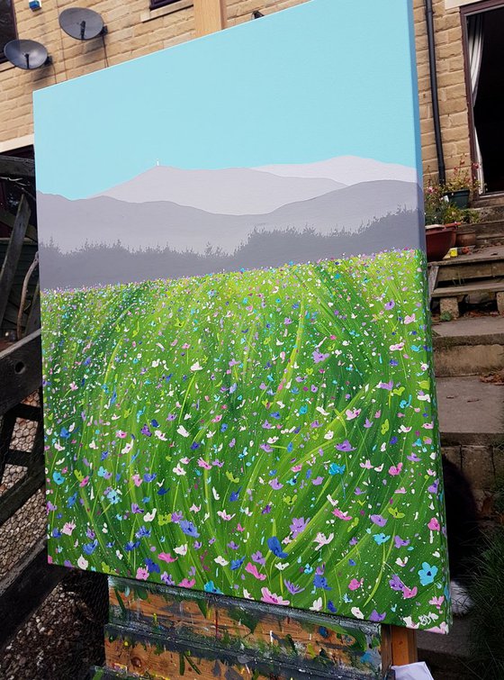 Meadow to Mont Ventoux, Provence, France