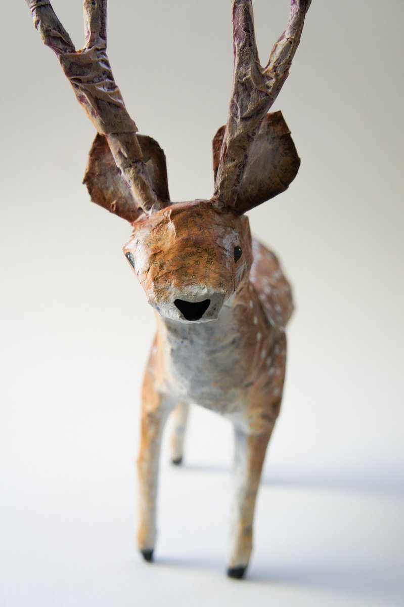 Stag by Victoria Lucy Williams