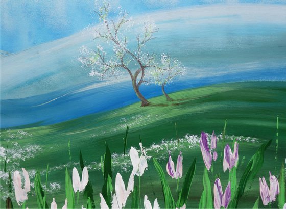 spring landscape B048 Sakura cherry blossom tree Tulips Large painting 110x160 cm unstretched canvas art green blue sky