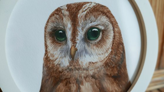 Framed owl. Part 3.