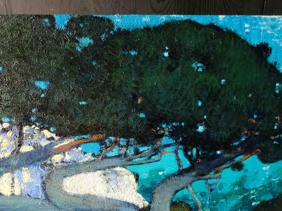 Juniper trees