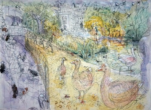 Hyde Park, geese, pigeons, coots...and humans by Patrick O'Callaghan