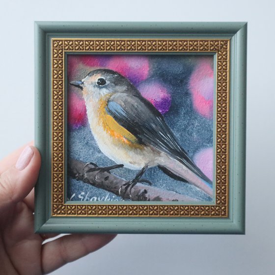 Bird