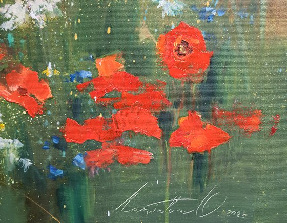 Poppies on the field