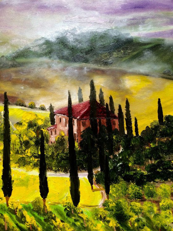 Tuscany Siena vineyards