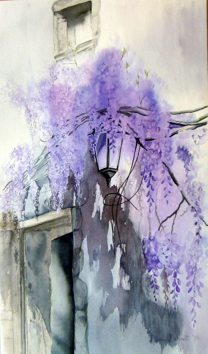 Wisteria in the old courtyard by Diana Dabinett