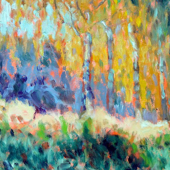 Birches