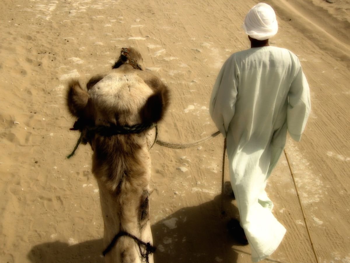 Camel Time by Marc Ehrenbold