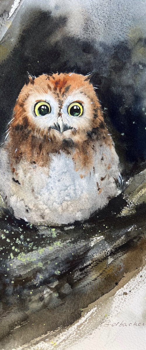 Owl in a hollow by Eugenia Gorbacheva