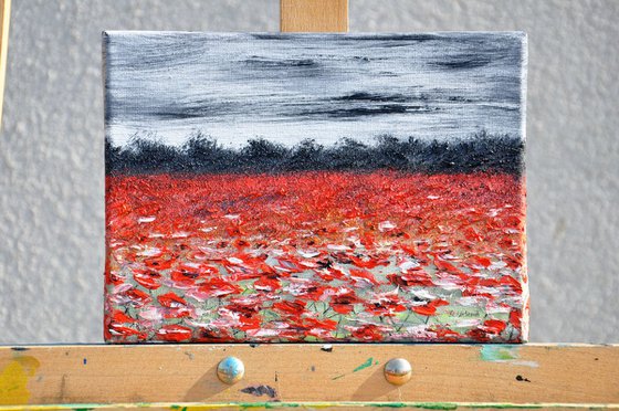 Poppies In The Storm