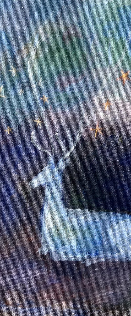 Starlight by Victoria Lucy Williams